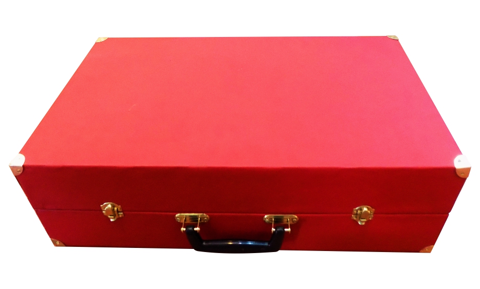 PORTAFOLIO DE CURPIEL A100